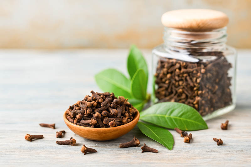 Clove (Syzygium aromaticum) 