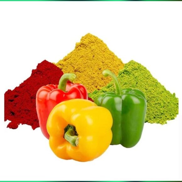 Dried Bell Pepper Powder